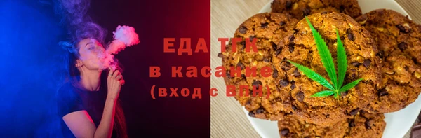 хмурый Аркадак
