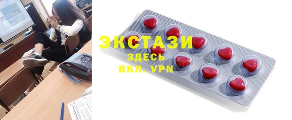 хмурый Аркадак