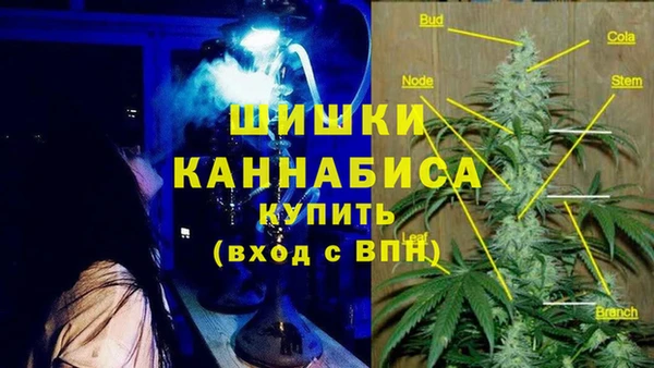 хмурый Аркадак