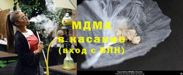 хмурый Аркадак