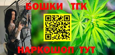 СК Бийск