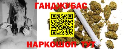 СК Бийск