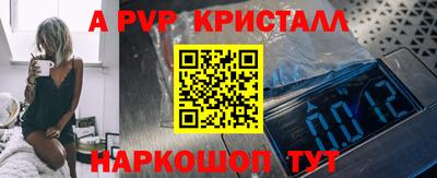 СК Бийск