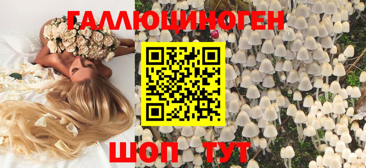Псилоцибиновые грибы мухоморы  Вход с VPN  купить наркоту  Галлюциногенные грибы Magic Shrooms  Дедовск 